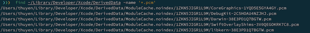 modulecache_pcm.png
